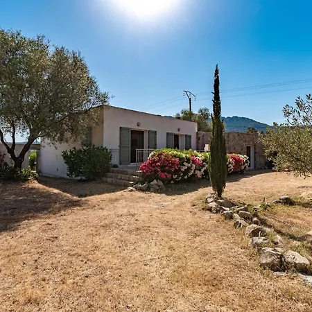 Hébergement de vacances La Maison Des Oliviers - Belle Maison Familiale Avec Piscine *