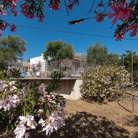 La Maison Des Oliviers - Belle Maison Familiale Avec Piscine Occhiatana