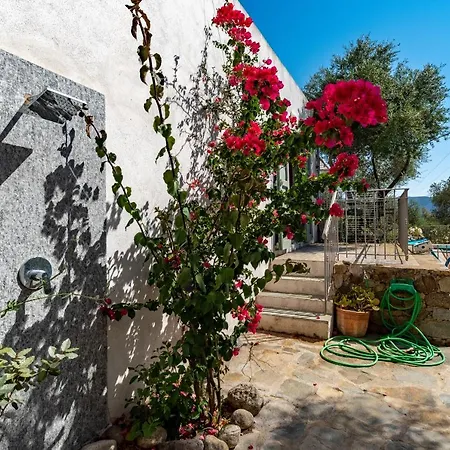 La Maison Des Oliviers - Belle Maison Familiale Avec Piscine بيت للعطل
