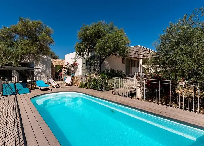 La Maison Des Oliviers - Belle Maison Familiale Avec Piscine Vakantiehuis