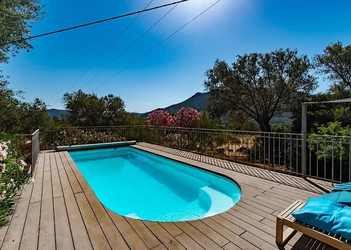 La Maison Des Oliviers - Belle Maison Familiale Avec Piscine Vakantiehuis *