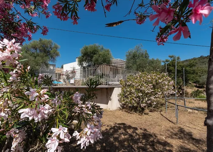 La Maison Des Oliviers - Belle Maison Familiale Avec Piscine Occhiatana