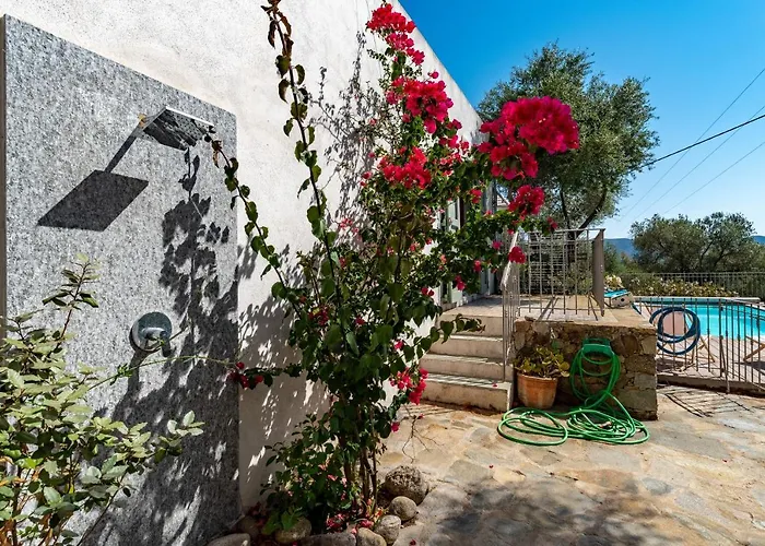 La Maison Des Oliviers - Belle Maison Familiale Avec Piscine Vakantiehuis